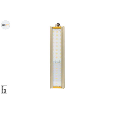 Модуль Взрывозащищенный GOLD, универсальный U-1, 80 Вт, светодиодный светильник